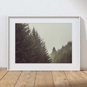 EVER GREEN -  Blairmore, Argyll. Fine Art Print, Scotland, Scottish West Coast. Photographic Giclee Print A4, A3, A2.