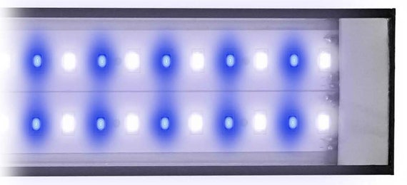 Reef Brite Lumilite Pro Blue White 50 Led Light Fixture Blue White 50 Led Light Fixture, Marineland Light Fixture