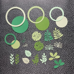 Papier découpé « Plantes et cercles »