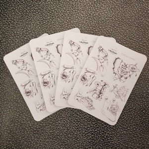 Feuille d'autocollants « Os et fleurs »