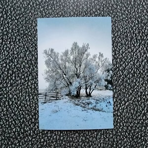 Carte postale « Matin glacial »