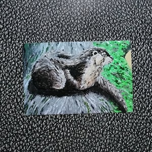 Carte postale « La loutre »