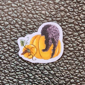 Sticker « Chat noir et citrouille »