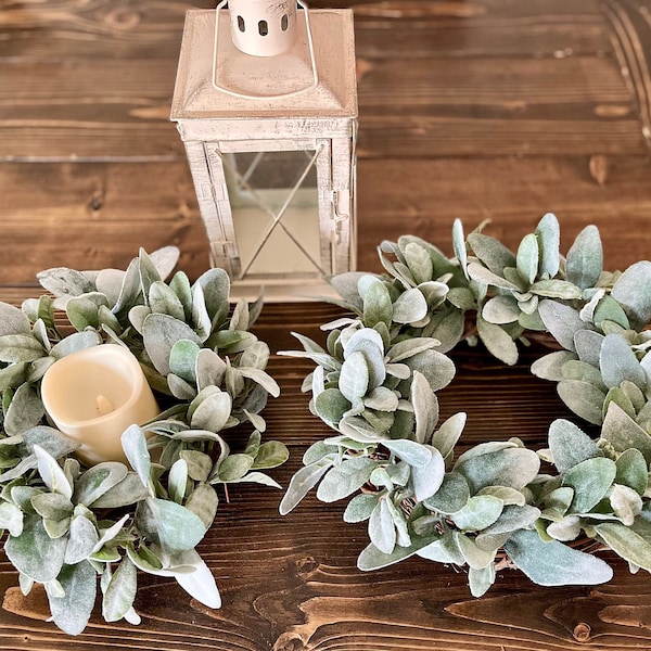 Mini Lambs Ear Wreath Etsy