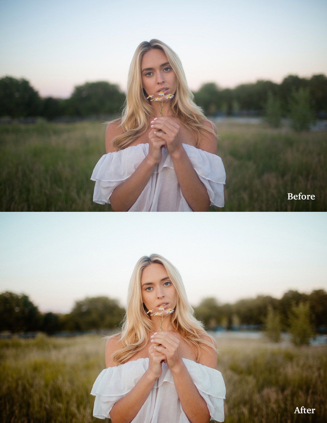 Что Такое Пресеты Для Фото