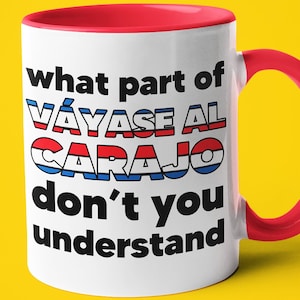 Was für ein Teil von ** Verstehst du nicht Costa-Ricaner-Tasse, Geschenk für Costa-Ricanerin, lustige Costa-Ricaner-Tasse, Costa-Ricaner-Frau