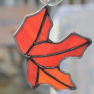 Fall Maple leaf