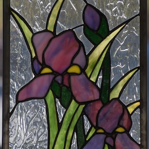 Purple Irises