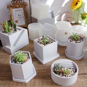 May include: A set of six concrete planters in various shapes, including a square, a hexagon, a circle, and a stepped design. Each planter is filled with small succulents and white pebbles. The planters are arranged on a wooden surface.