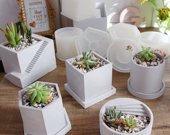 May include: A set of six concrete planters in various shapes, including a square, a hexagon, a circle, and a stepped design. Each planter is filled with small succulents and white pebbles. The planters are arranged on a wooden surface.