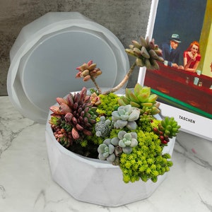 May include: A white concrete planter with a geometric design, filled with a variety of succulents and moss. The planter is sitting on a white marble surface.