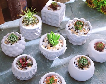 Silicone Planter Pot Mold: DIY Concrete Cement Bowl Mould