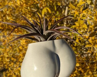 3D Concrete Ass Vase Mold, Female Buttock Jesmonite flower pot silicone molds women Naked Resin Mold for Planter Succulent Plants Pot Molds