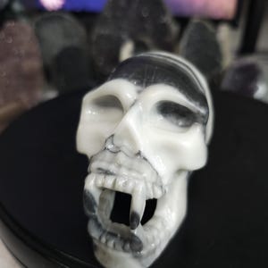 Fanged Yin Yang Stone Skull