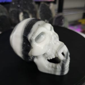 Fanged Yin Yang Stone Skull