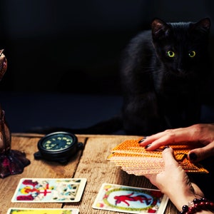 Könnte beinhalten: Eine schwarze Katze mit leuchtend gelben Augen sitzt an einem Holztisch. Eine Person mischt ein Tarotkartenspiel. Ein dekorativer Kerzenhalter und eine kleine Uhr befinden sich ebenfalls auf dem Tisch. Die Szene ist schwach beleuchtet.