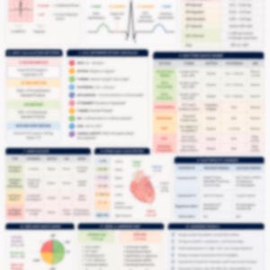 Könnte beinhalten: Ein EKG-Spickzettel als Kurzanleitung für Pflegepersonal mit einem farbcodierten System, medizinischen Tabellen, Diagrammen der Herzanatomie und klinischen Daten. Das Dokument enthält Textüberschriften, numerische Werte und diagnostische Kriterien.
