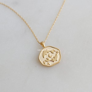 Collana con moneta irregolare stampata in rilievo con due pesci dello zodiaco dei Pesci, delicata e senza tempo, gioiello minimalista, regalo per damigelle d&#39;onore