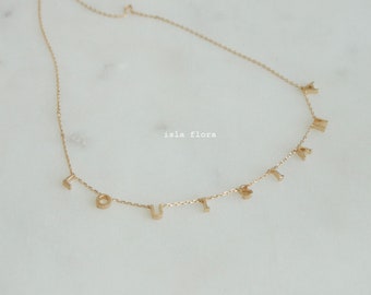 Louisiana Initials Letters Brushed State Pendant Necklace, Saints State Tigers Pride, Fine, Delicate, Minimalist Jewelry, Dainty Charms Gift