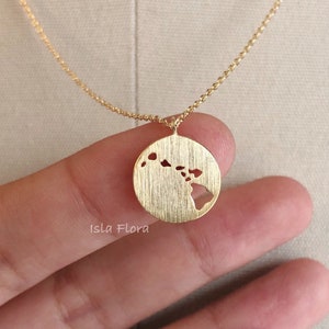 Hawaii Islands Cutout on Brushed Circle Pendant Necklace, Plated Chain, Dainty Minimal Jewelry, Coastal Vibe, bridesmaid, Vacation Gift