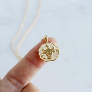 Taurus Zodiac Necklace, The Bull with Stars Emboss Stamped Uneven Coin Charm, Dainty Gold plated, Minimalist Jewelry, Bridesmaid Her Gift