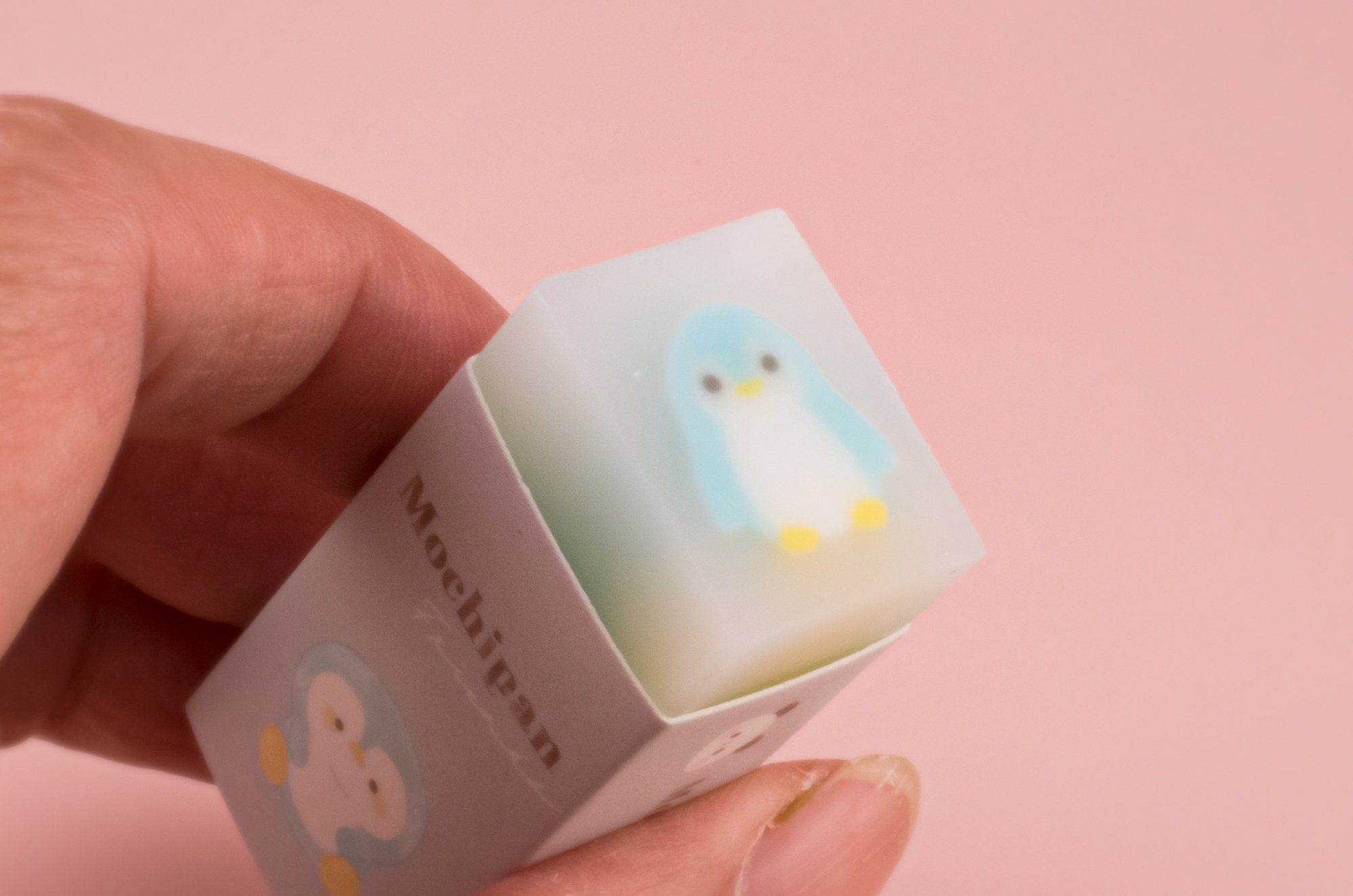 Animal Semi transparent Eraser 01 Stationery Rubber Japan Mochipan animal-semi-transparent-eraser-01-stationery-rubber-japan-mochipan