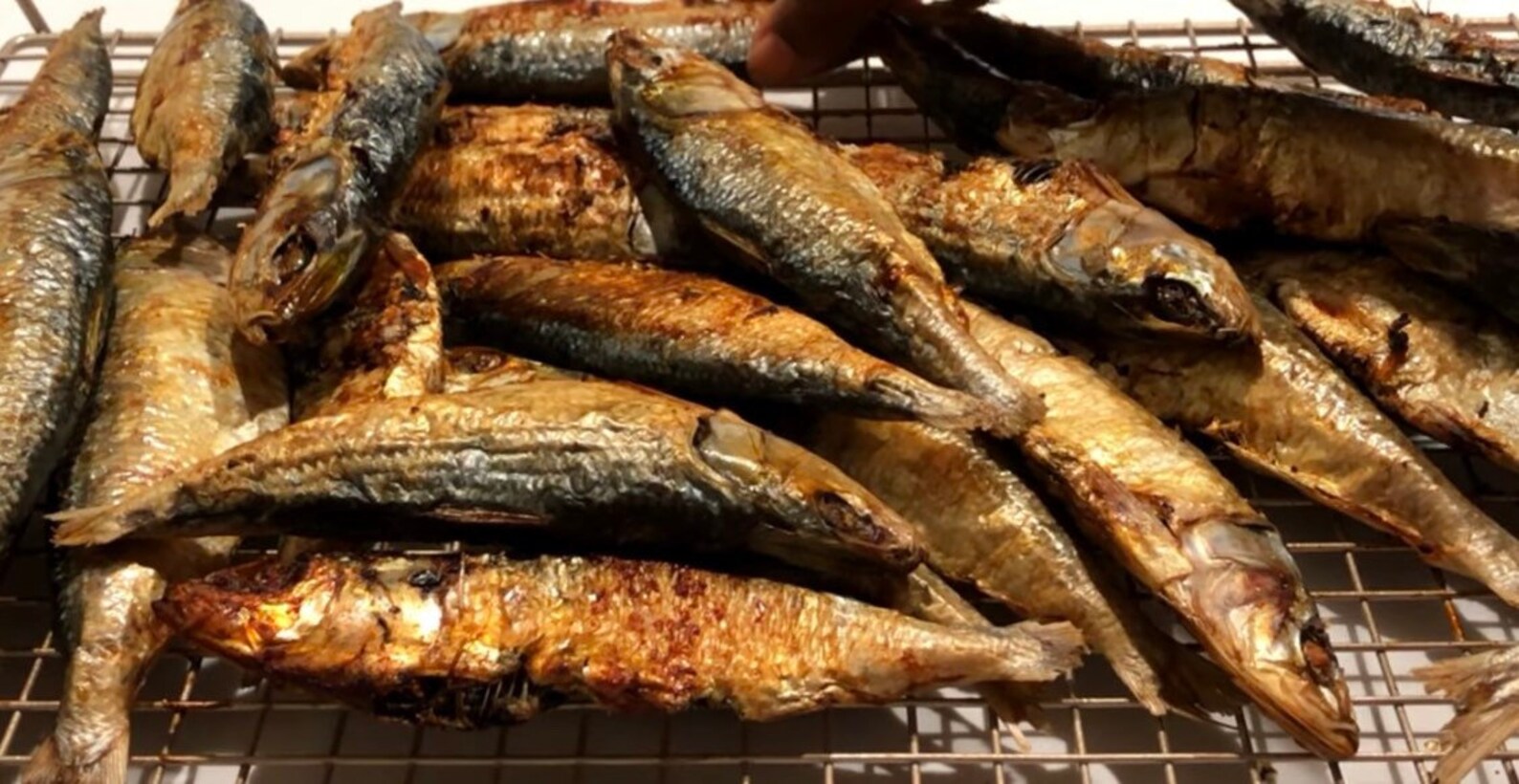20 Pieces of Dried Smoked Herring Fishamane. Etsy