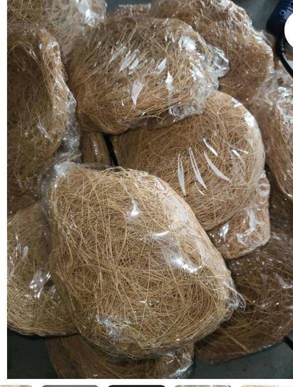 20 Pieces of Sponge Made From Plant Etsy