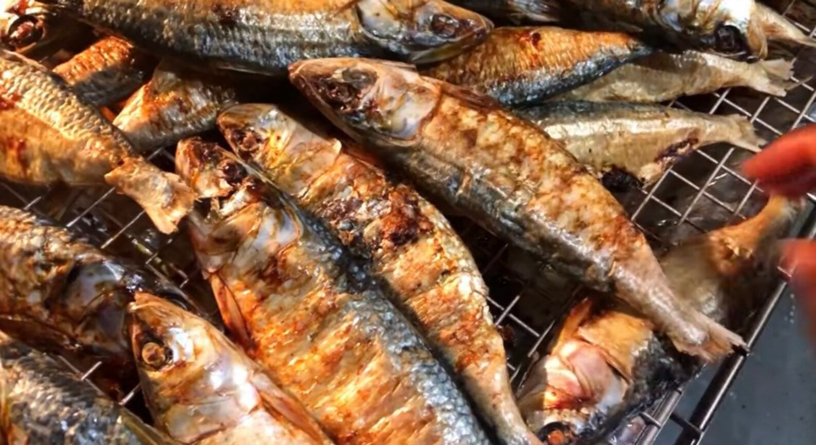 20 Pieces of Dried Smoked Herring Fishamane. Etsy