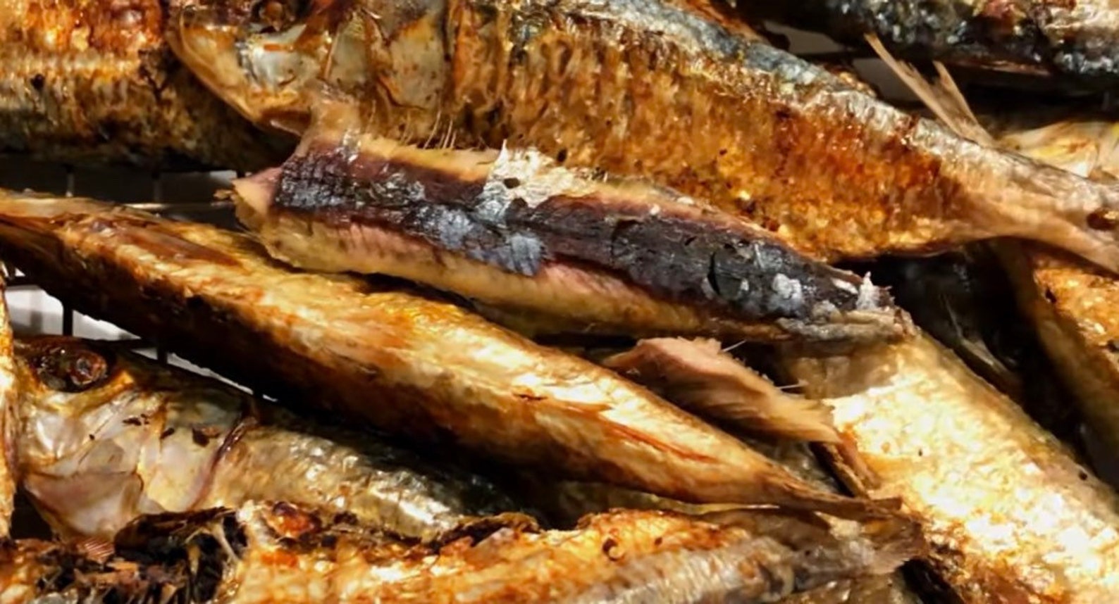 20 Pieces of Dried Smoked Herring Fishamane. Etsy