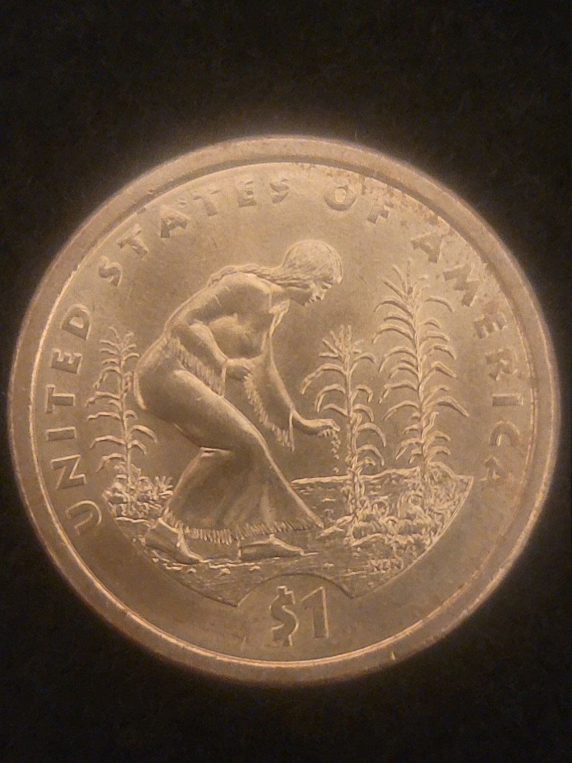 super-rare-sacagawea-2000-no-date-mark-u-s-dollar-coin-etsy