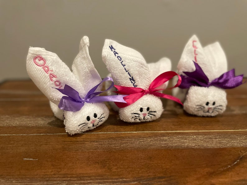 Personalized Booboo Bunny Embroidered Washcloth With Etsy