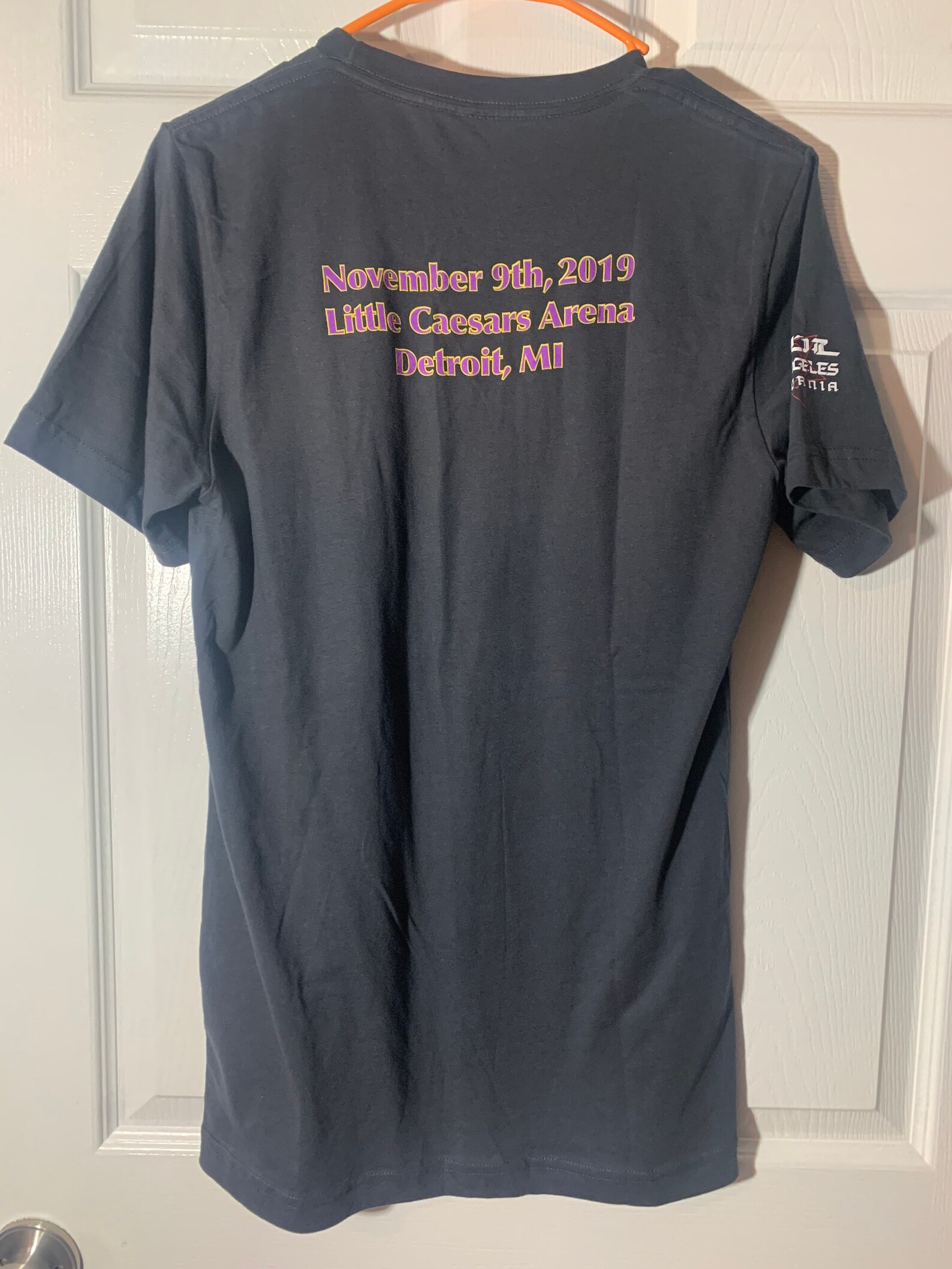 Tool Band official tour shirt Detroit mint xsmall  Etsy