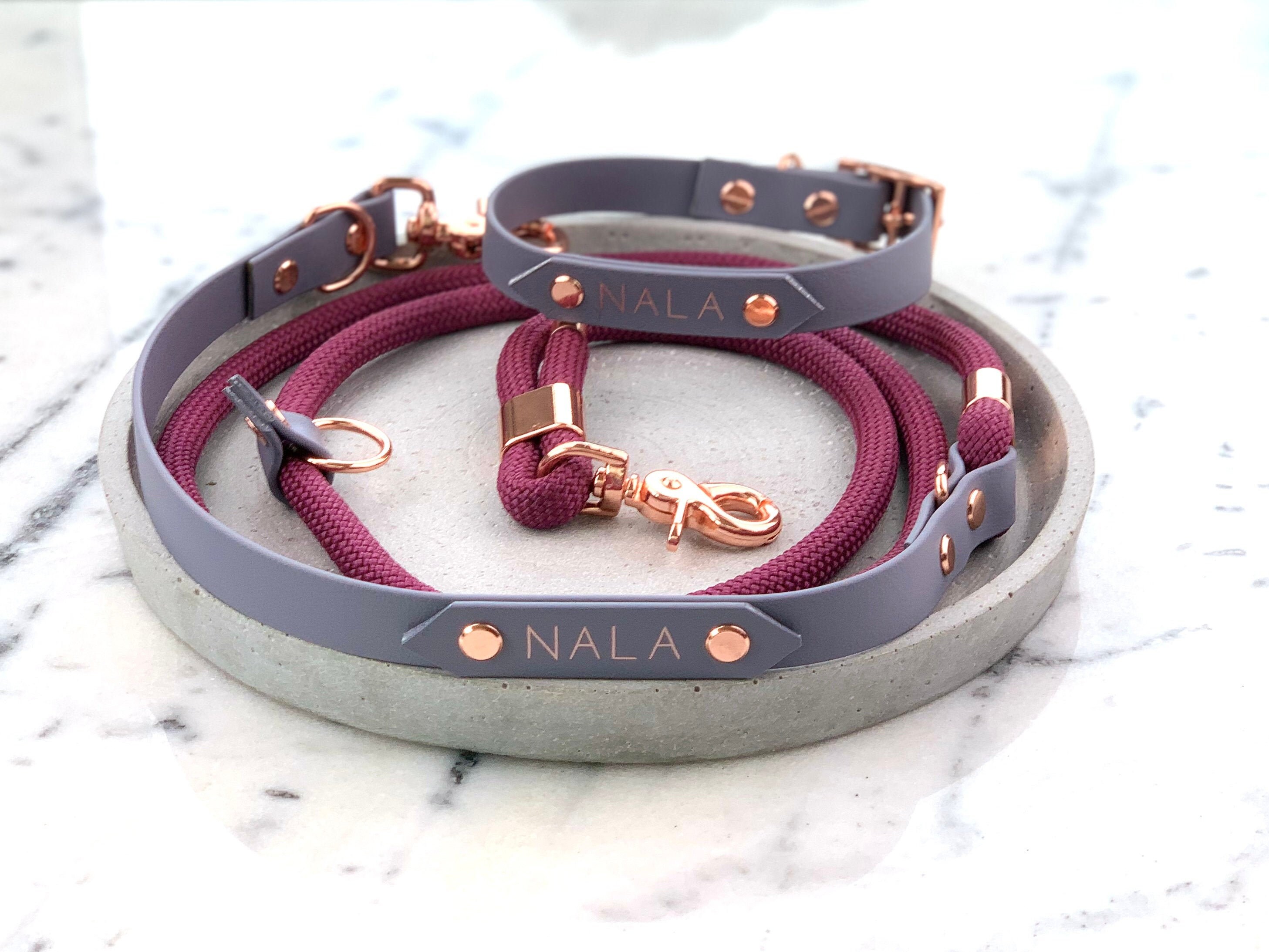 Matching dog leash and collar Biothane Leash and collar Etsy