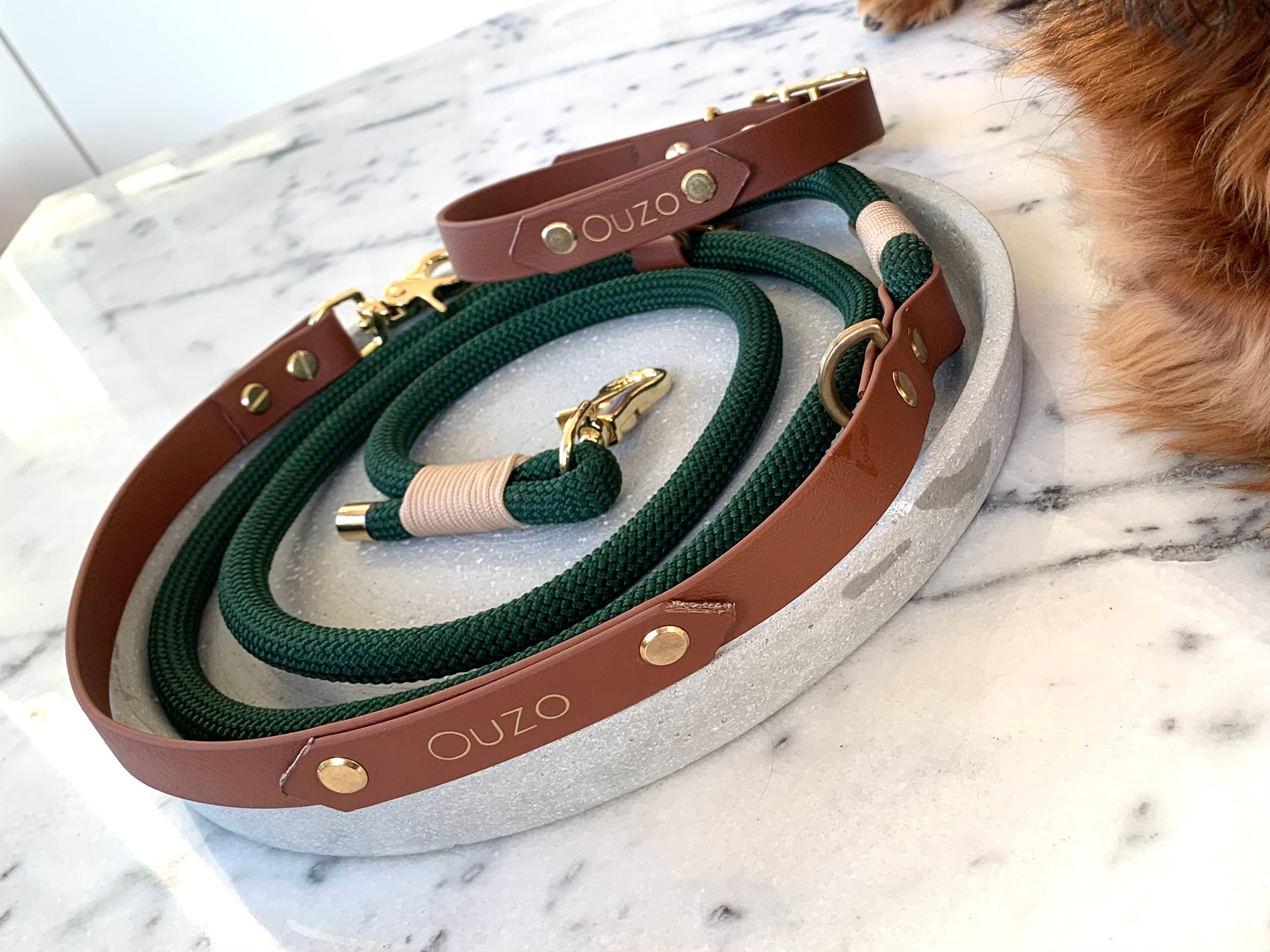 Matching dog leash and collar Biothane Leash and collar Etsy