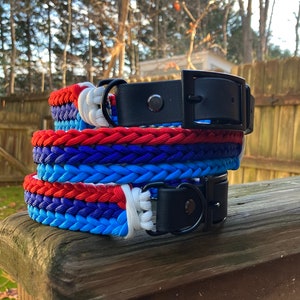 Bmw dog collar discount