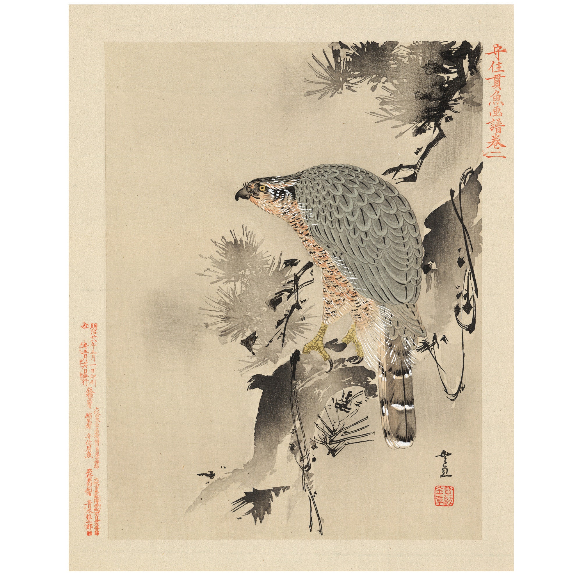 Japanese Art Reproduction. Hawk With Outstretched Wings C. 