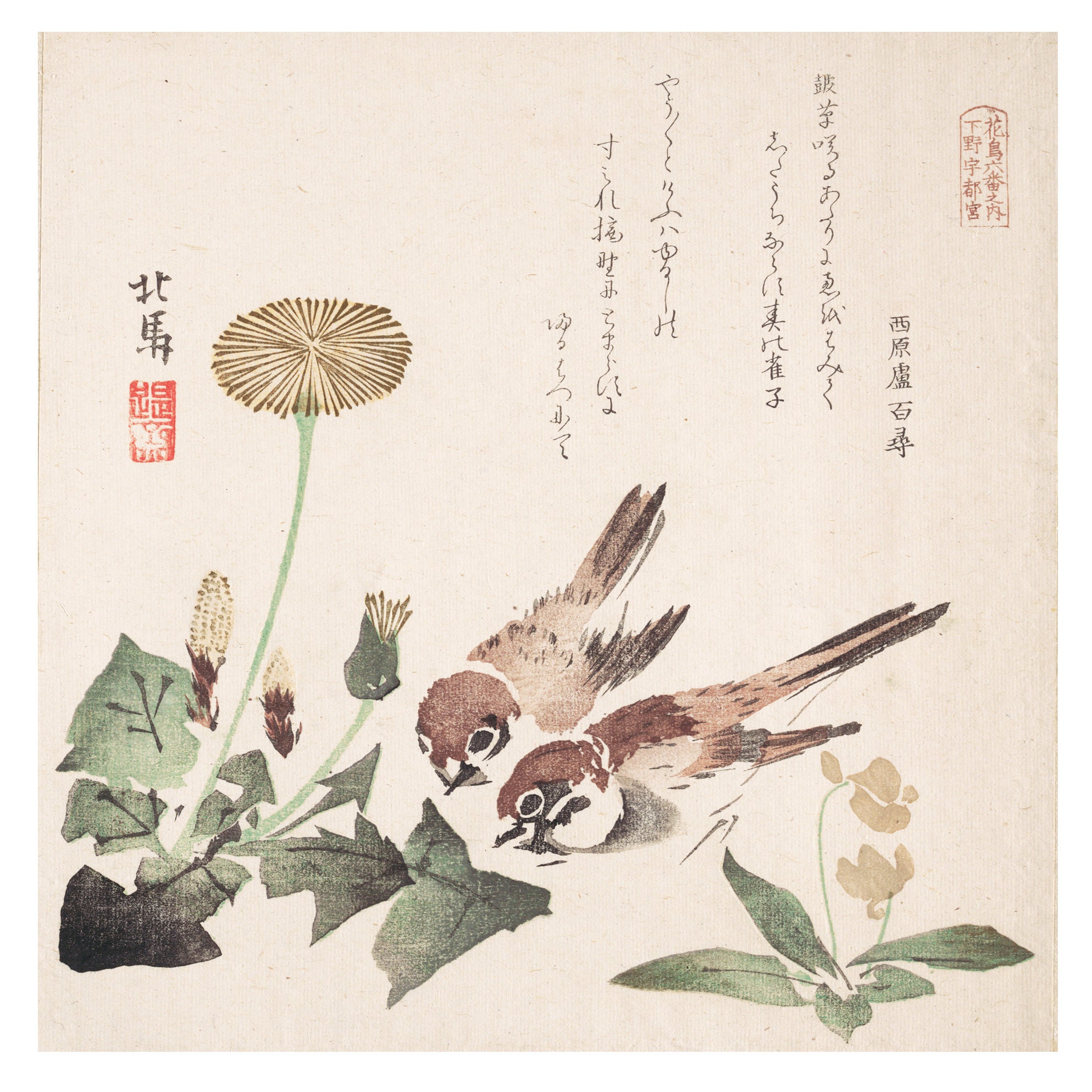 Fine japanese and Korean Works of Art 図録 Square Japanese Fine Art Print of Two Birds and a Haiku in