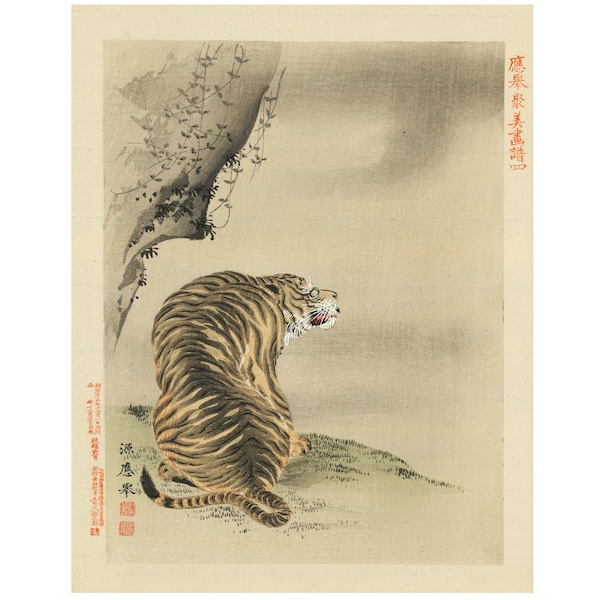 Antique Asian Old Japanese Watercolor Painting of a Tiger Printed on Textured Fine Art Paper or Maple Wood