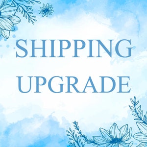 Shipping Upgrade