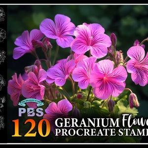 May include: A set of 120 Procreate stamps featuring pink geranium flowers. The stamps are designed for use in the Procreate app for digital art and illustration.