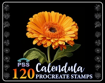 120 Calendula Flower Procreate Stamps: Botanical Brush Set (Digital Download)