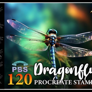 May include: A digital illustration of a dragonfly with iridescent wings against a blurred background of green and orange. The image includes the text "Dragonfly 120 Procreate Stamps" and a logo for PBS Pro Brushes Store.