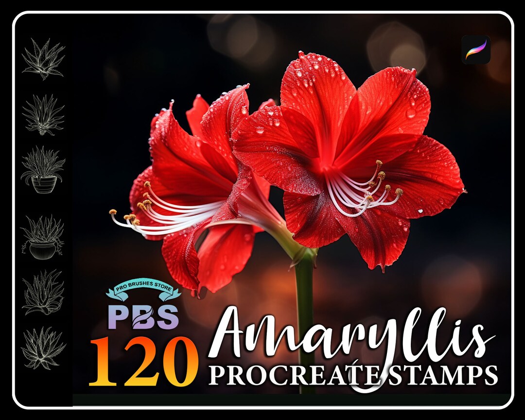 120 Amaryllis Flower Procreate Stamps: Brush Set (digital Download) - Etsy