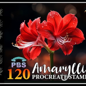 120 Procreate Amaryllis Stamps, Amaryllis brush for procreate, Flower procreate stamp, instant digital download.