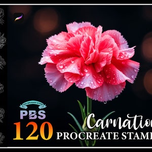 120 Procreate Carnation Stamps, Carnation Flower Stamps for procreate, Flower procreate stamp, Flower brush procreate