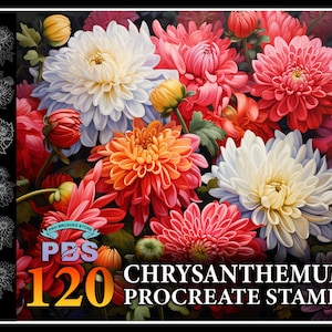 120 Procreate Chrysanthemum Stamps, Chrysanthemum Flower Stamps for procreate, Flower procreate stamp, Flower brush procreate