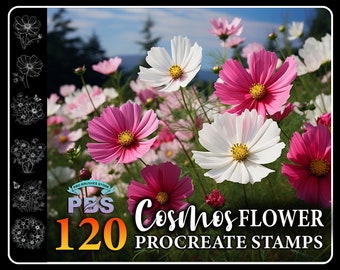 120 Cosmos Flower Procreate Stamps: Garden Brush Set (Digital Download)