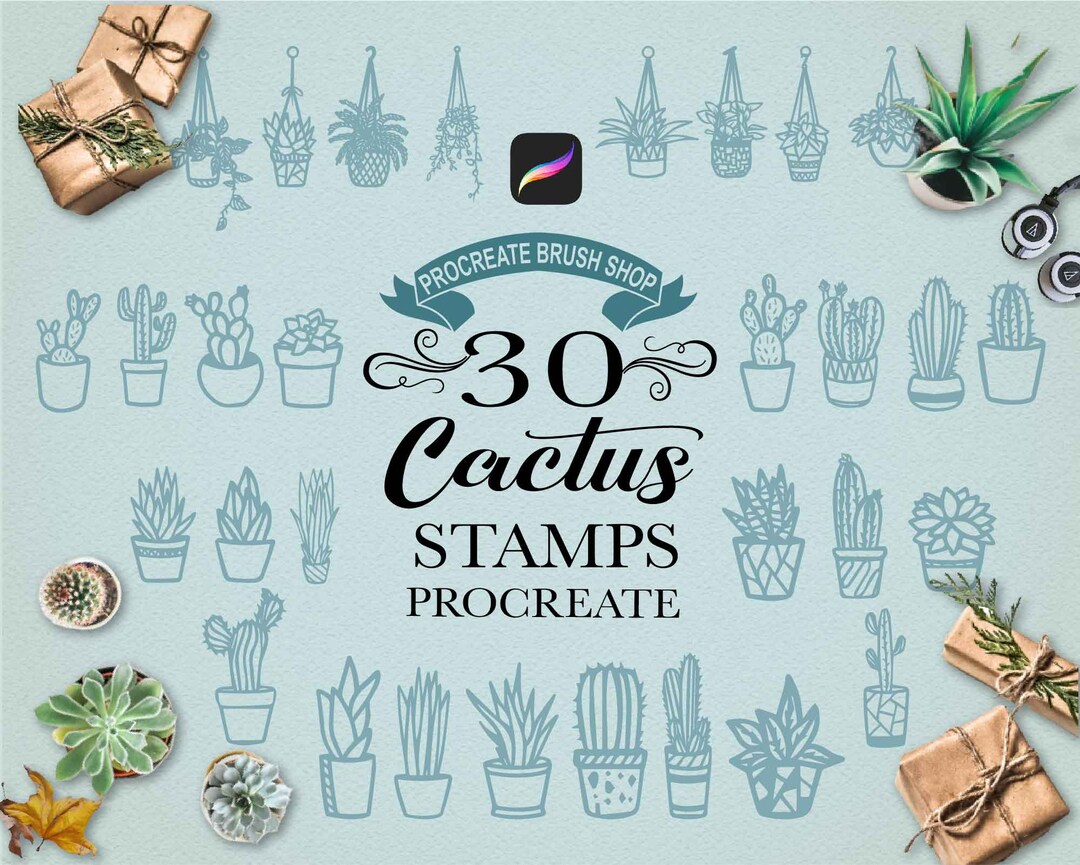 Cactus and Hanging Plant Procreate Stamps Cactus Procreate - Etsy