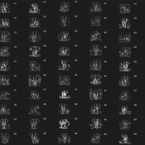 May include: A grid of 60 black and white line drawings of elephants. Each drawing depicts a different pose or perspective of an elephant, with some drawings showing a mother elephant and a baby elephant.